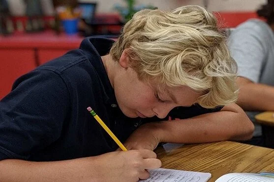 Student studying at desk